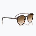 Akiniai nuo saulės Ray-Ban Bernard havana/brown gradient