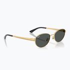 Akiniai nuo saulės Ray-Ban RB3774D arista gold/dark grey