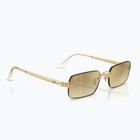 Akiniai nuo saulės Ray-Ban RB3928 By A$Ap Rocky arista gold/brown gold