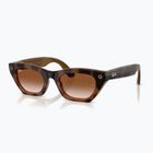 Akiniai su kamera Ray-Ban Meta Zena havana/gradient brown