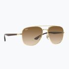 Akiniai nuo saulės Ray-Ban RB3683 arista gold/brown
