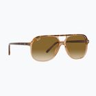 Akiniai nuo saulės Ray-Ban Bill havana brown/transparent brown