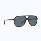 Akiniai nuo saulės Ray-Ban Bill havana/blue