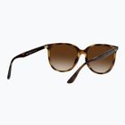 Akiniai nuo saulės Ray-Ban RB4378 havana/brown gradient