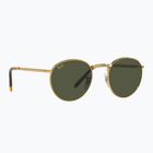 Akiniai nuo saulės Ray-Ban New Round gold/green