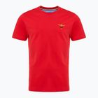 Vyriški marškinėliai Aeronautica Militare Essential tengo red