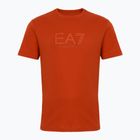 Vyriški EA7 Emporio Armani Visibility Cotton Crew marškinėliai su rooibos arbata