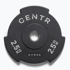 Bumperio svoriai Centr Olimpijski Centr x Hyrox Interlocking Bumper Plate 2 pcs black