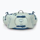 Vyriška rankinė ant juosmens Osprey Talon 6 l mint green/night shift