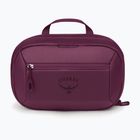 Kosmetinė Osprey Ozone Large Toiletry Kit moody burgundy