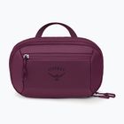 Kosmetinė Osprey Ozone Powerhouse moody burgundy