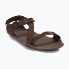 Vyriški basų kojų sandalai Xero Shoes Z-Trek brown