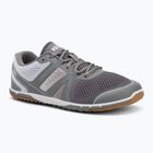 Vyriški barefoot batai Xero Shoes HFS II gray/white