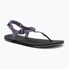 Moteriški basų kojų sandalai Xero Shoes H-Trail sage purple HTW-SGPU