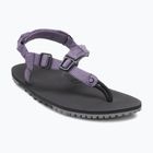 Moteriški basų kojų sandalai Xero Shoes H-Trail sage purple HTW-SGPU