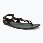 Vyriškos barefoot basutės Xero Shoes Aqua Cloud java/brown/dark/forest