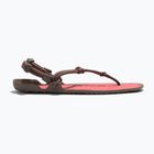 Moteriški basų kojų sandalai Xero Shoes Aqua Cloud moel/sunset coral