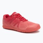 Moteriški barefoot batai Xero Shoes HFS II raspberry / sunset / coral / gradient