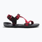 Vaikiški barefoot sandalai Xero Shoes Z-Trail charcoal/red pepper