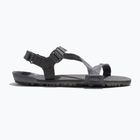 Vyriški basų kojų sandalai Xero Shoes Z-Trail EV steel gray/asphalt