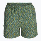 Vyriškos žygio kelnės Royal Robbins All-In algae flash pt