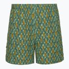 Vyriškos žygio kelnės Royal Robbins All-In algae flash pt