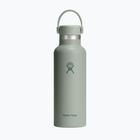 Termo gertuvė Hydro Flask Standard Flex 532 ml Agave