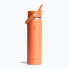 Terminis butelis Hydro Flask Wide Flex Travel 710 ml nectar