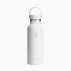 Termo gertuvė Hydro Flask Standard Flex 532 ml white