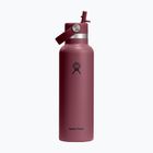 Termo gertuvė Hydro Flask Standard Flex 621 ml burgundy