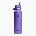 Termo gertuvė Hydro Flask Standard Flex 621 ml utopia purple