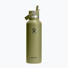 Termo gertuvė Hydro Flask Standard Flex 621 ml palmer green