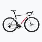 Plento dviratis Orbea Orca M31e LTD 2023 white chic/black