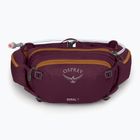 Dviračio krepšys Osprey Seral 7 l su gertuve 1.5 l aprium purple