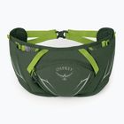 Osprey Duro Dyna 2 l jūros dumblių žalios spalvos/limono inkstų krepšys