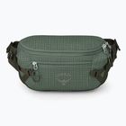 Rankinė ant juosmens Osprey Transporter Waist Pack 3 l pine leaf