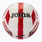 Futbolo kamuolys Joma Light dydis 5