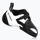 Laipiojimo bateliai Evolv Zenist Pro grey/black