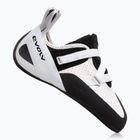 Moteriški laipiojimo batai Evolv Defy gray/ white