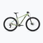 Kalnų dviratis Kellys Spider X30 29" pistachio green