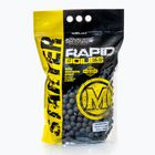 MIVARDI Rapid Boilies Starter Monster & Halibut baltyminiai rutuliukai 3,5 kg