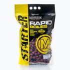 MIVARDI Rapid Boilies Starter Fruit Bomb 3,5 kg baltyminiai rutuliukai