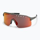 Akiniai nuo saulės Rogelli Ventro Polarized grey/bordeaux/red revo