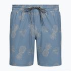 Vyriški maudymosi šortai Hurley Pineapple Volley Swim Short Blue/Brown