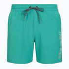 Vyriški maudymosi šortai Hurley Crossover Volley Swim Short Teal Tint