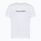 Vyriški marškinėliai Calvin Klein LVGMS5K183 Graphic classic white