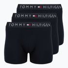 Trumpikės Tommy Hilfiger Brief Dtm 3 pairs desert sky/desert sky/desert sky