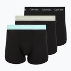 Vyriškos trumpikės Calvin Klein 0000U2662G Trunk 3 pairs black in plume wb/black in misty sag