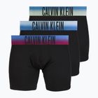Vyriškos trumpikės Calvin Klein LV00NB4622 Boxer Brief blck bodies w/ plein air psdn blue/