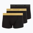 Vyriškos trumpikės Tommy Hilfiger Trunk Metallic black/gold/gold
